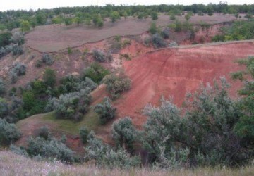 Identificarea ariilor agricole cu o inalta valoare naturala: suport pentru tarile din afara uniunii europene