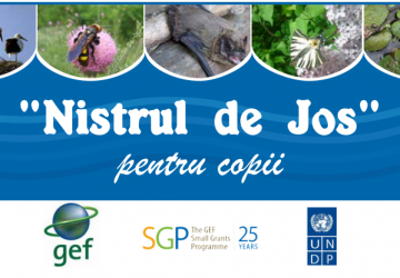 “Nistrul de Jos” pentru copii