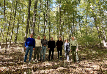 Plantarea voincerului pitic în rezervația Codrii