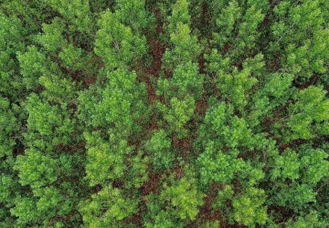 Îmbunătățirea managementului ariilor protejate din Republica Moldova