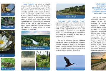 Parcul national ”Nistrul de Jos”