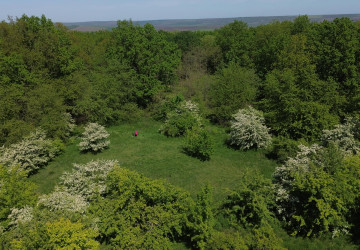 Îmbunătățirea managementului ariilor protejate din Republica Moldova prin dezvoltare instituțională, consolidarea capacităților și restaurarea habitatelor